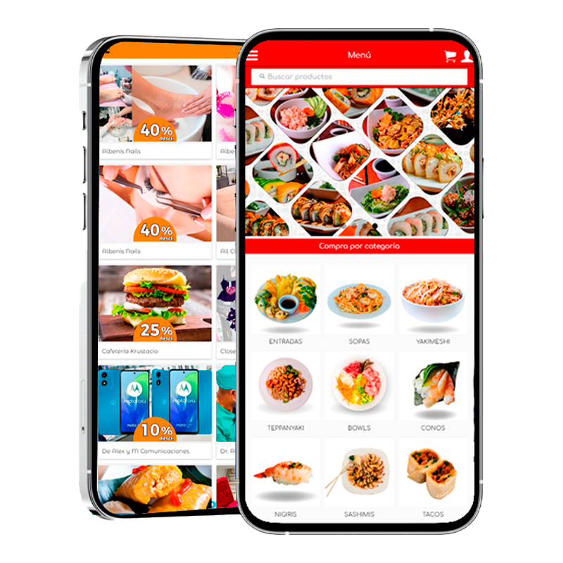 App Delivery Pro GPS